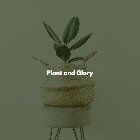 Plant and Glory