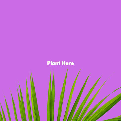 Plant Here