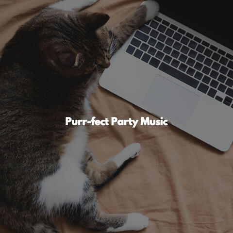 Purr-fect Party Music