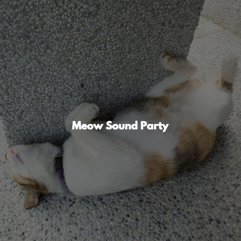 Meow Sound Party