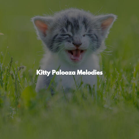 Kitty Palooza Melodies