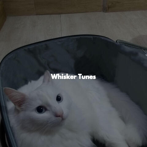 Whisker Tunes