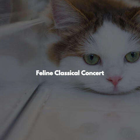 Feline Classical Concert