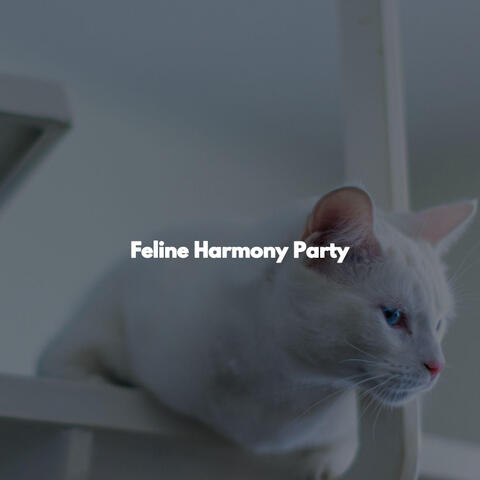 Feline Harmony Party