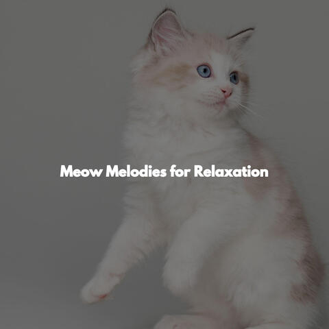 Meow Melodies for Relaxation