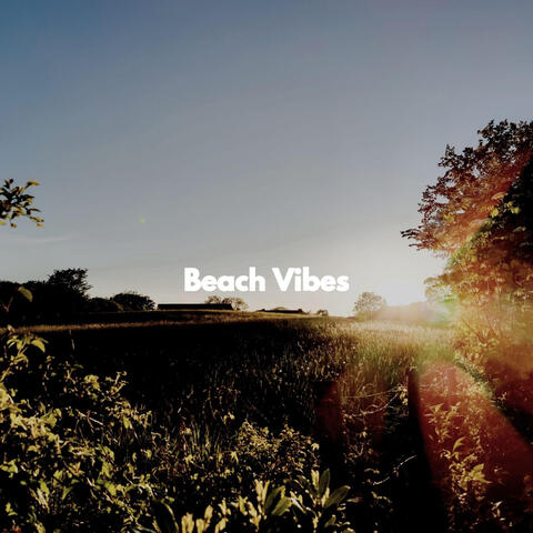 Beach Vibes