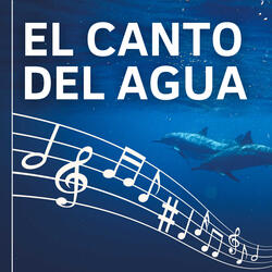 Canto De Sirenas