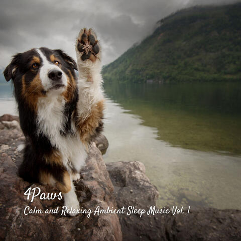 4Paws: Calm and Relaxing Ambient Sleep Music Vol. 1