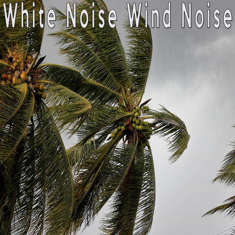 White Noise Wind Noise