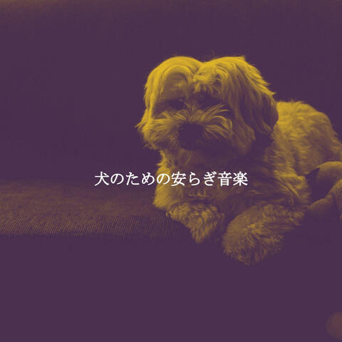 犬のための安らぎ音楽
