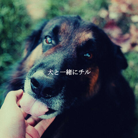 犬と一緒にチル