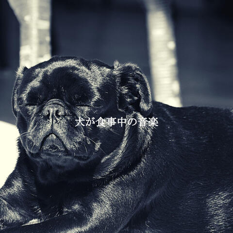 犬が食事中の音楽