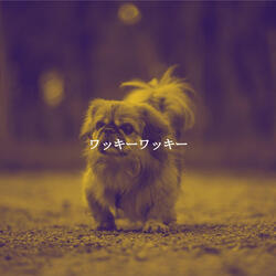 Fantastic (Wellness and Care)