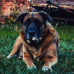 Ambience (Positive Feelings)