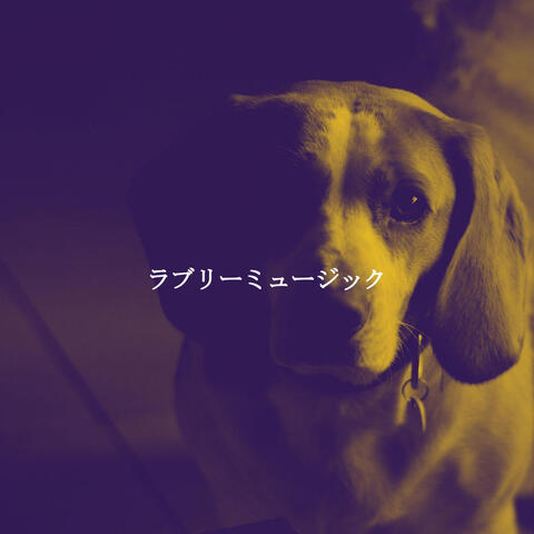 ラブリーミュージック