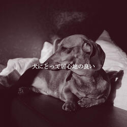Nice (Recharging Days)