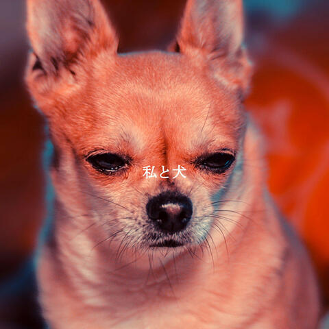 私と犬