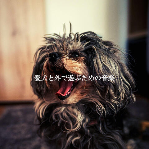 愛犬と外で遊ぶための音楽