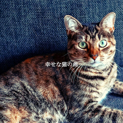 幸せな猫の曲