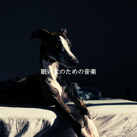 眠い犬のための音楽