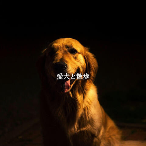 愛犬と散歩