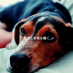 Music (Positive Feelings)