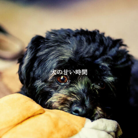 犬の甘い時間