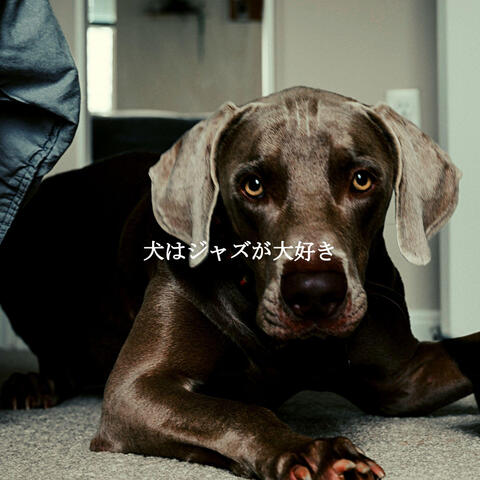 犬はジャズが大好き