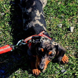 Peaceful (Soothing Days)