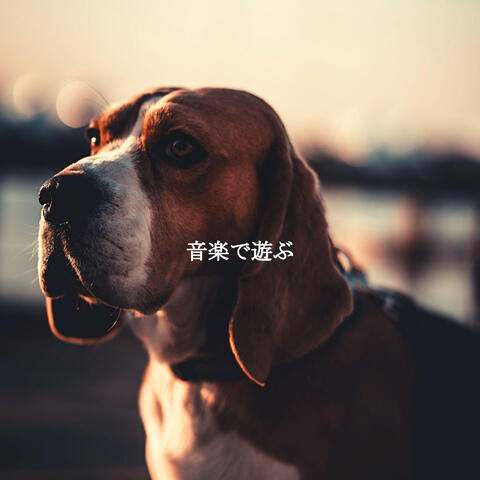 音楽で遊ぶ