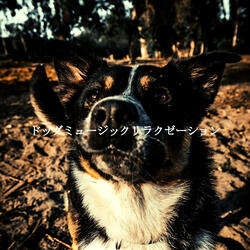 Recharging Days - Feelings