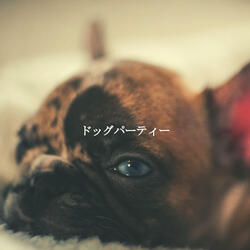 Subdued (Soothing Days)