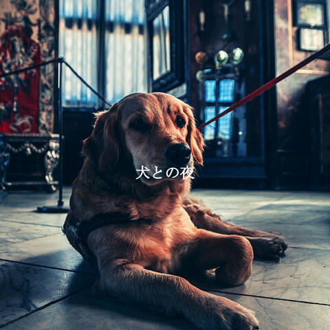 犬との夜