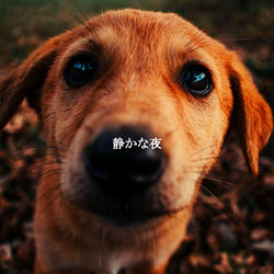 Recharging Days - Feelings