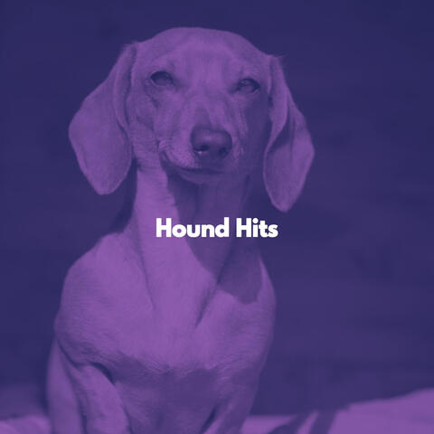 Hound Hits