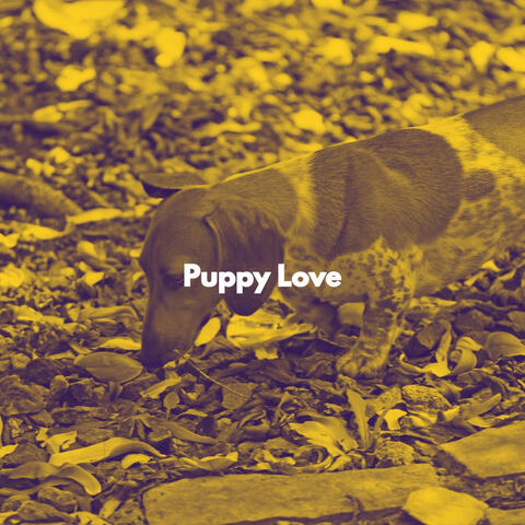 Puppy Love