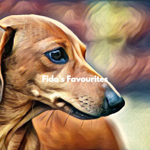 Fido's Favourites