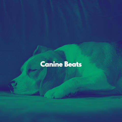 Canine Beats