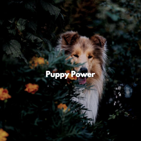 Puppy Power