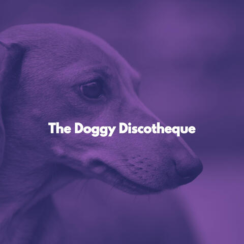 The Doggy Discotheque