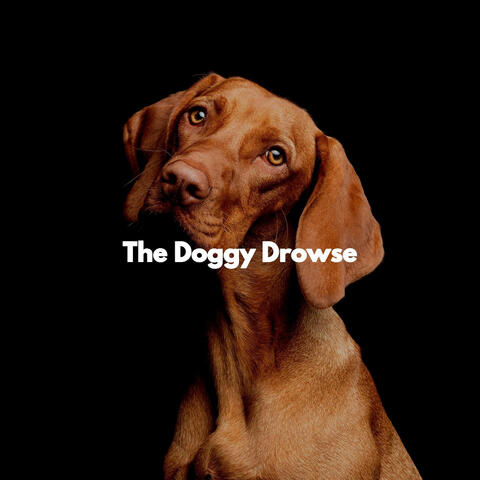 The Doggy Drowse