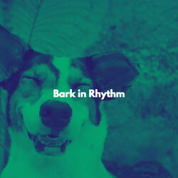 Extraordinary Moods for Rhythm of Winter