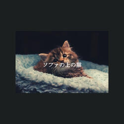 Energetic Moods for Smooth Sundays