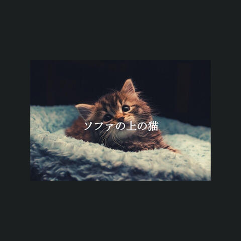ソファの上の猫