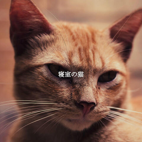 寝室の猫