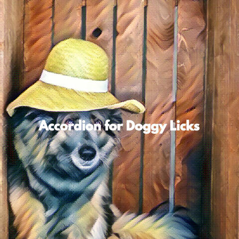 Accordion for Doggy Licks