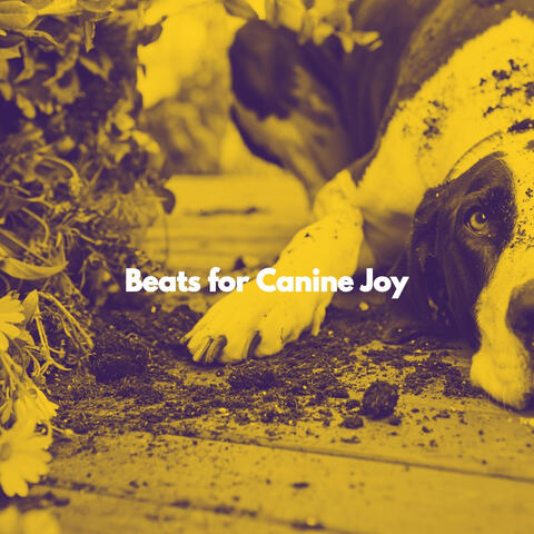 Beats for Canine Joy