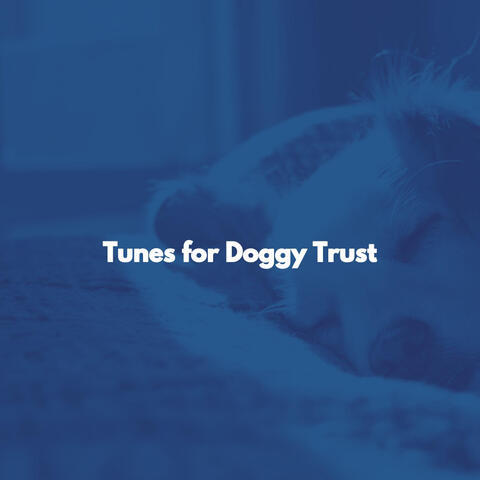 Tunes for Doggy Trust