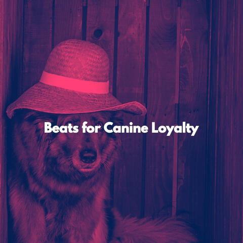 Beats for Canine Loyalty