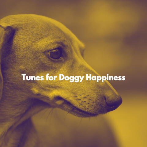 Tunes for Doggy Happiness